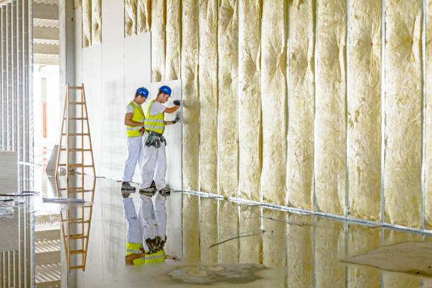 Best Insulation Replacement Services  in Conrad, MT